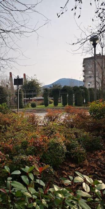 Blue Breeze Apartment Germignaga 외부 사진